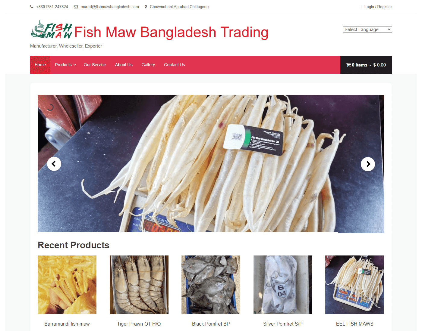 Fish Maw Bangladesh Trading